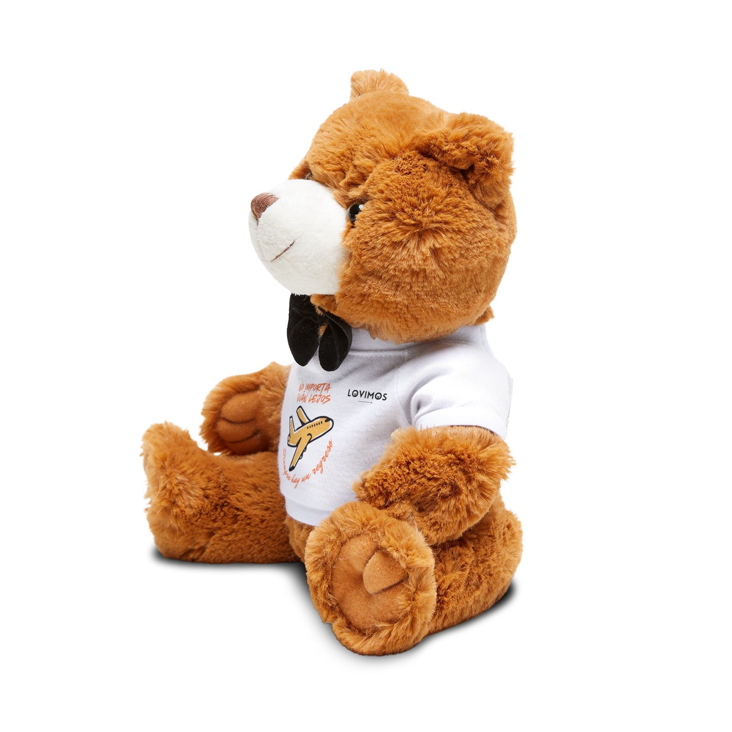 Cozy Teddy Bear & Matching T-Shirt – "No importa cuan lejos"